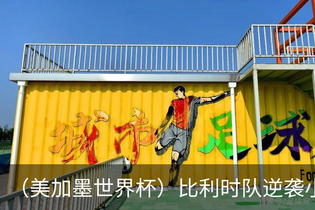（美加墨世界杯）比利时队逆袭小组第一出线 伊朗队保留晋级希望